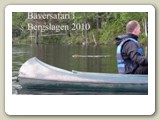 Strax före midsommar 2010 deltog vi i en bäversafari med kanot i Bergslagen. Vi var 10 deltagare inkl ledaren.