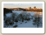 Den 13 januari var en riktig vinterdag med solsken, vit snö, 7 grader kallt, vindstilla och perfekt is med plogad skridskobana.