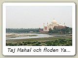 Taj Mahal och floden Yamuna sedda från Det Röda Fortet.