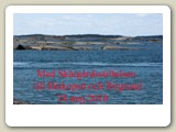 Biskopsö ligger i yttersta havsbandet i Stockholms sydöstra skärgård. Utanför ön finns bara en sälkoloni, men den fickr man inte besöka så här års.