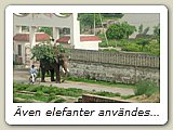 Även elefanter användes för många ändamål.